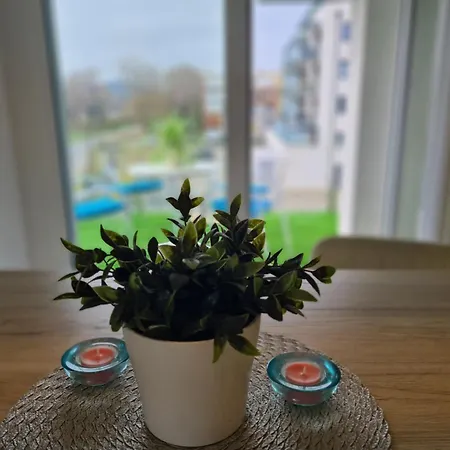 Medea A Vizparton * Fonyód